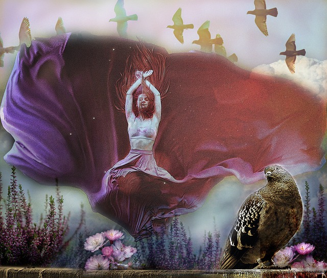 功的合作案 功的合作案