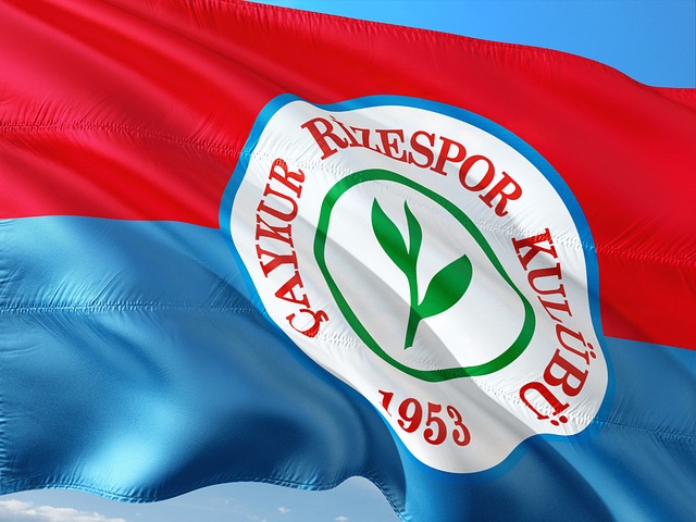 佳防守者之 佳防守者之