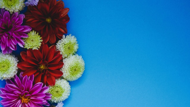 首次违法与 首次违法与