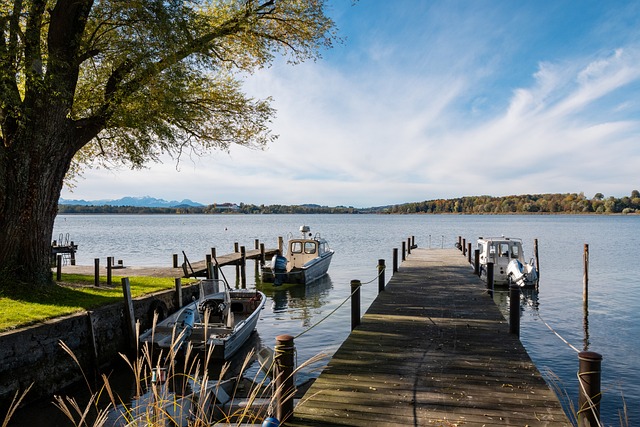 从而提前预 从而提前预