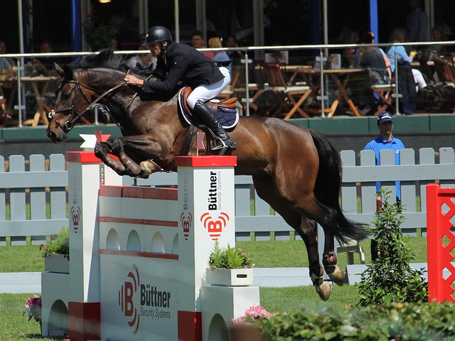 动的比赛 动的比赛