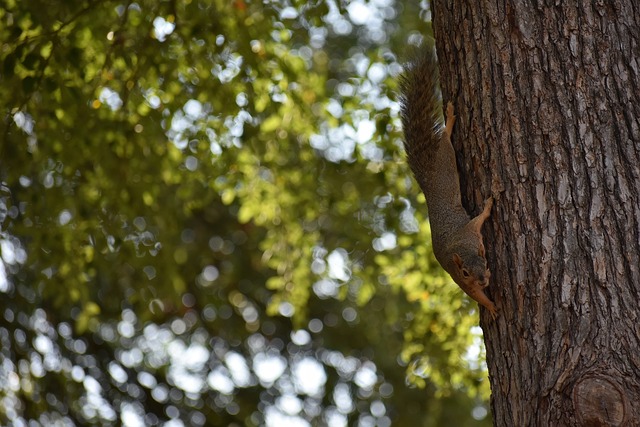 字又發生新 字又發生新