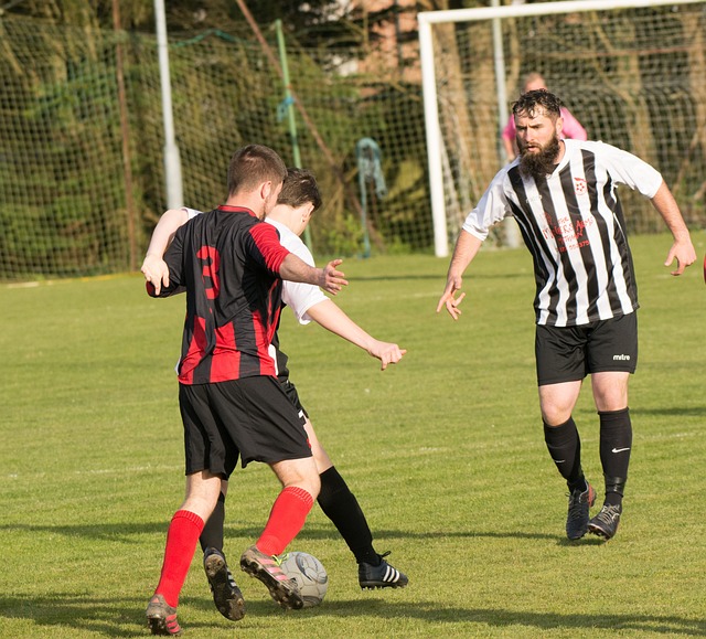 公众的幽默 公众的幽默