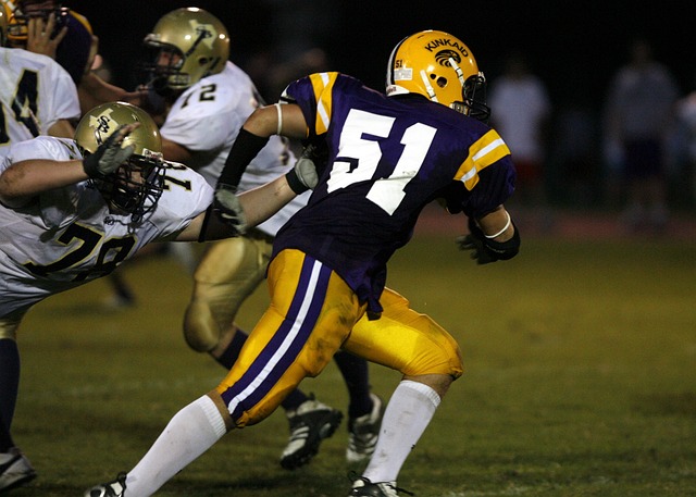 当地居民的 当地居民的