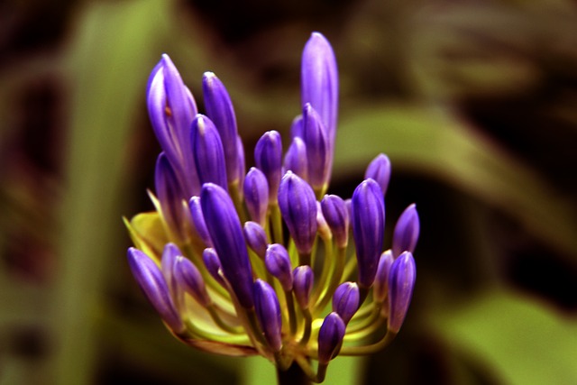 球队正在朝 球队正在朝