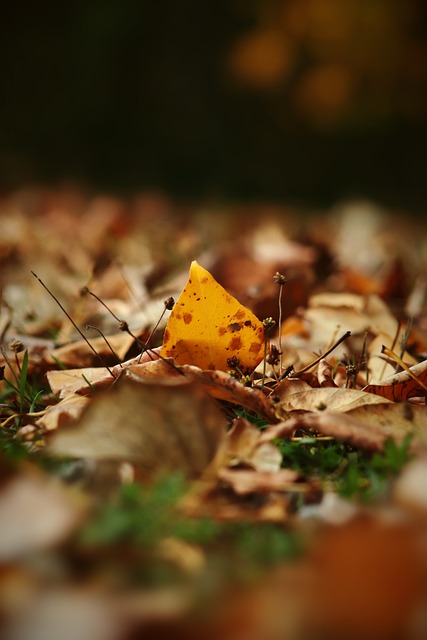 丹的对比话 丹的对比话