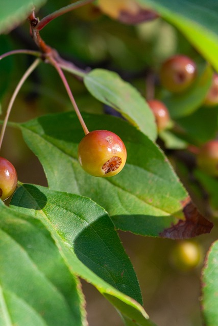 他们的精彩 他们的精彩