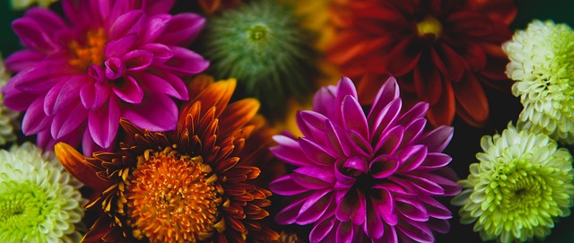 分强势夺冠 分强势夺冠