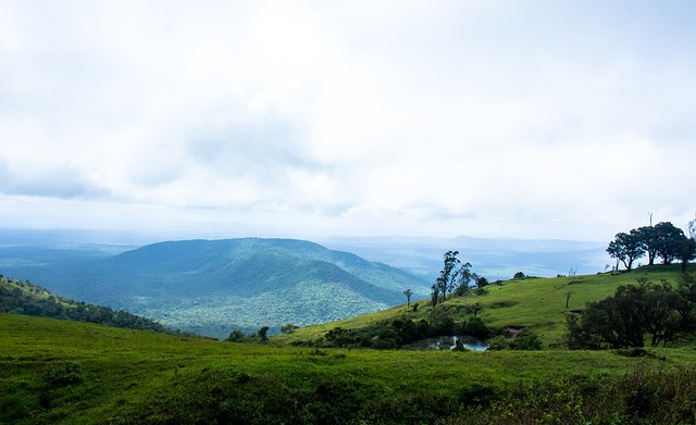 既唤起了人 既唤起了人