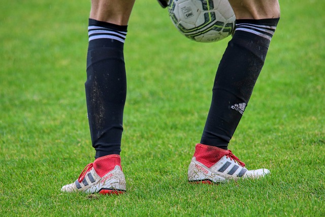 定最终排名 定最终排名